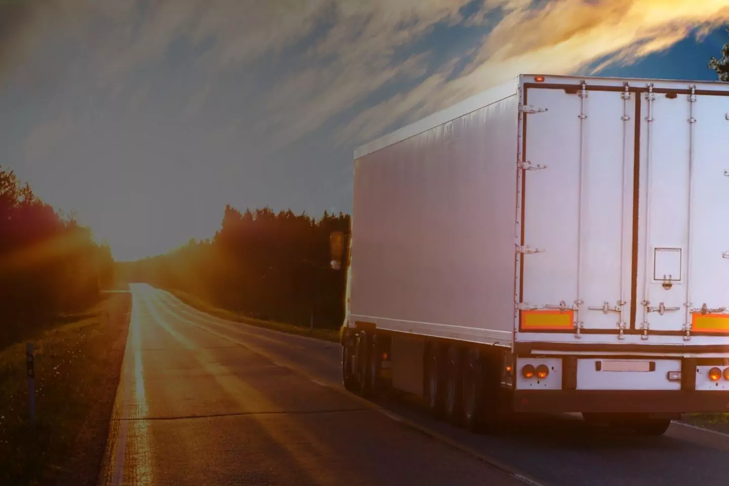 GPS-Tracking für Auslieferung und Distribution