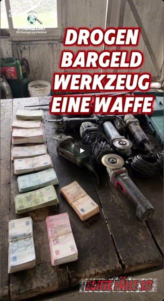 ECHTE FÄLLE 18: Der Fendt aus Fall 13 ist wieder da und das ist erst der Anfang. 🚜